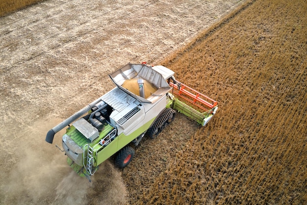 Aerial view of combine harvester working during harvesting season on large ripe wheat field Agriculture concept