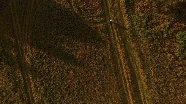 Photo aerial view of the country road with tire tracks among trees footage top view of sunset field with a