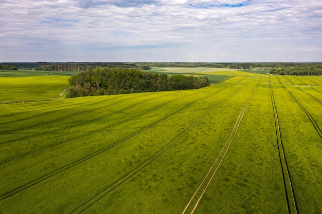 Aerial view to countryside with green agricultural fields and forests