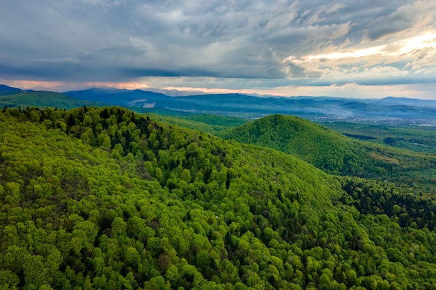 Aerial view of dark mountain hills covered with green mixed pine and lush forest in evening.