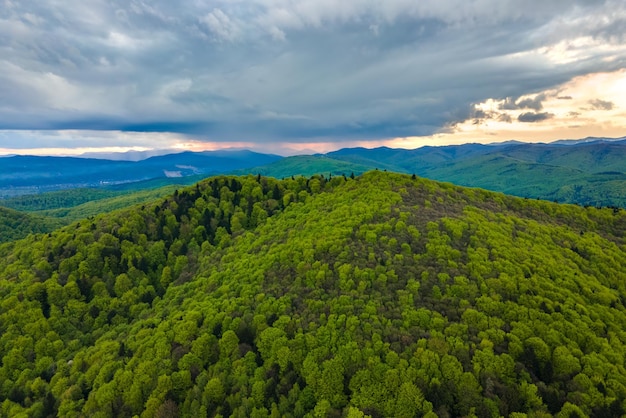 Aerial view of dark mountain hills covered with green mixed pine and lush forest in evening.