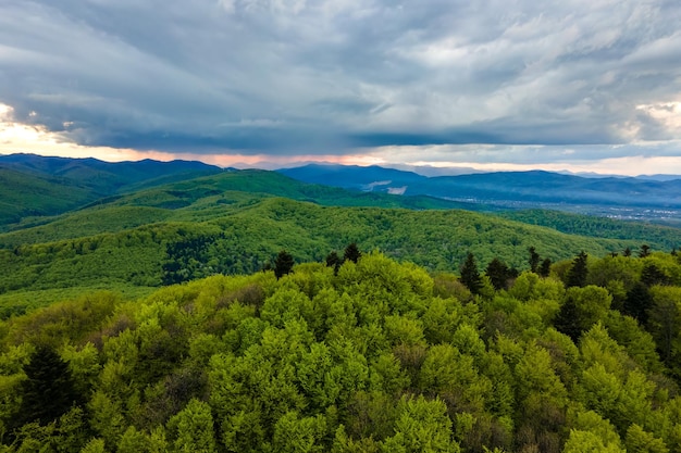 Aerial view of dark mountain hills covered with green mixed pine and lush forest in evening