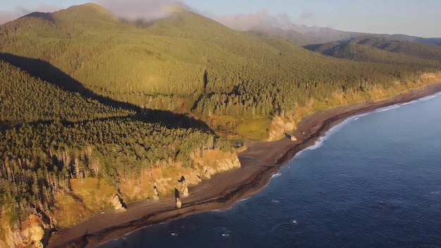 Aerial view the dawn the Sakhalin Cape BirdRussia