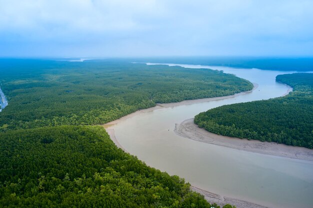 Aerial view of a deep winding river in a dense forest