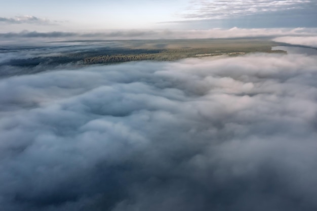 Aerial view of dense pine forest field and lake covered with ribbons of low fog Karelia Russia