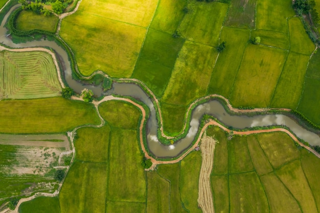 aerial view of devious river in a fields