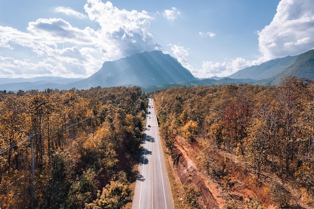 Aerial view of Doi Luang Chiang Dao mountain with straight road among autumn forest on bright day at Chiang Dao Chiang Mai Thailand