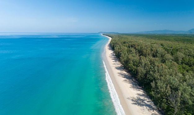 Aerial view Drone camera of Tropical sea with Row of pine trees near the beach in Thailand Beautiful sea and sky Travel and tour concept