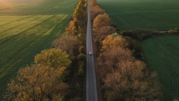 Aerial view Electric Car Driving on Country Road