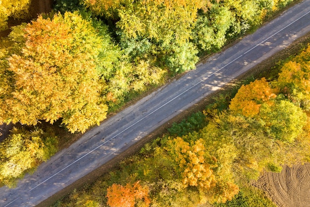 Aerial view of empty road between yellow trees.