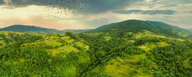 Aerial view of the endless lush pastures of the Carpathian expanses and agricultural land Cultivated agricultural field Rural mountain landscape at sunset Ukraine