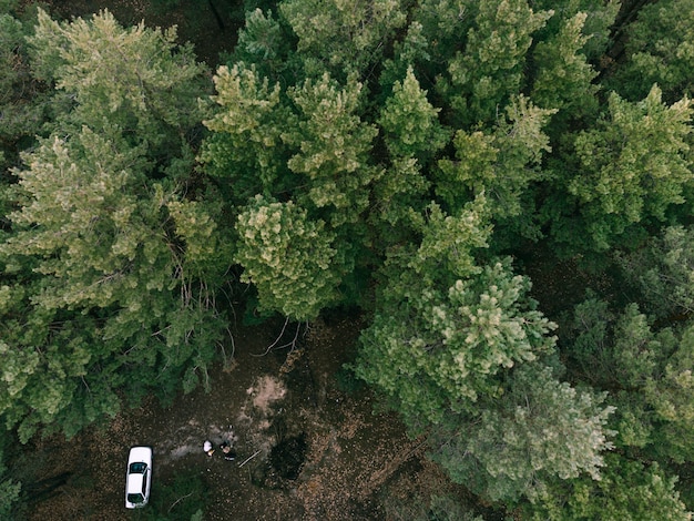 Aerial view of evergreen forest and white car. Camping on nature.