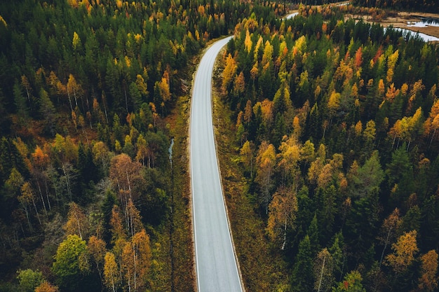 Aerial view of fall landscape road in beautiful autumn forest in Finland