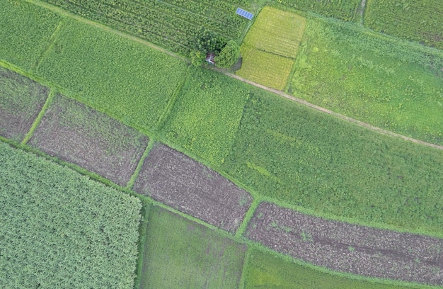 Aerial view farm land of drone with high view of local agriculture land