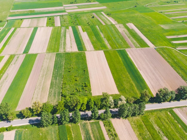 Aerial view of farming fields