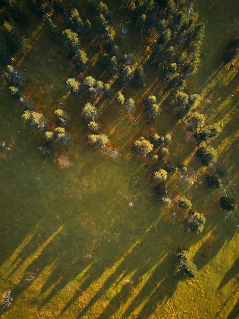 An aerial view of a field with trees and the sun shining on it