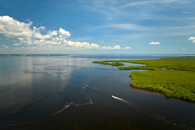 Aerial view of Florida wetlands with small motorboat swimming between green vegetation in water inlets Recreation in nature concept