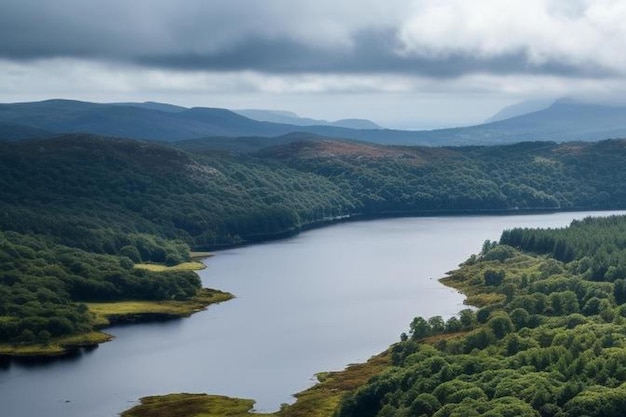 aerial view of the forest at lough anna island county donega