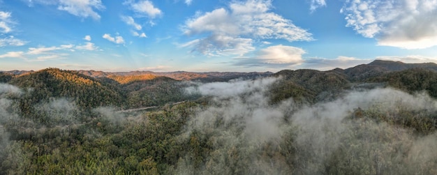 Aerial view forest in morning fog mist, breathing mountains, Sunshine on The Morning Mist.