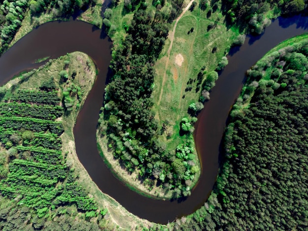 Aerial view of the forest river