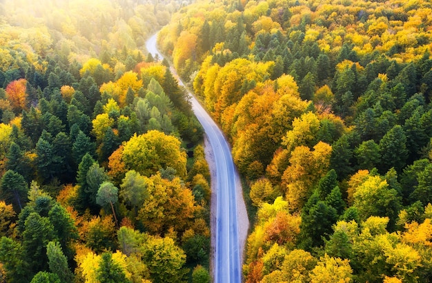 Aerial view on the forest road Autumn forest from air during sunset Landscape from drone at the autumn time Autumn image