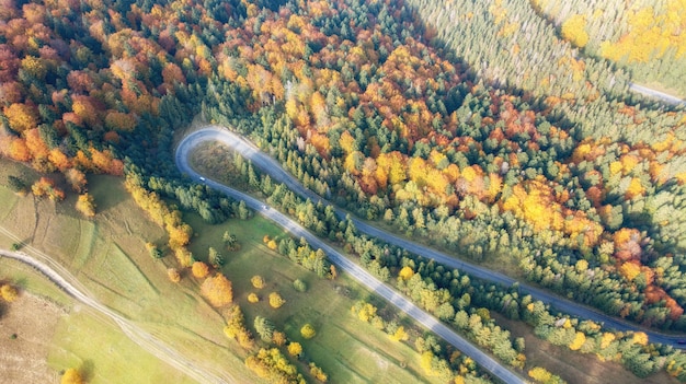 Aerial view of forest road in beautiful autumn at sunset. Curved road in the mountains with truck traffic