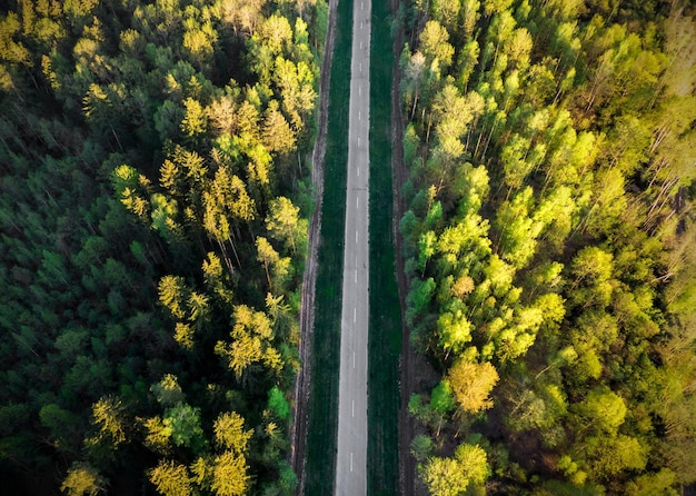 Aerial view of the forest road Fall landscape with road and yellow green trees