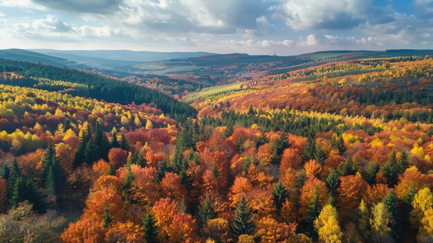 Aerial view of a forest with autumn foliage in various shades of red yellow and orange