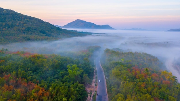 Aerial view from drone of fog over the forest road in sunrise