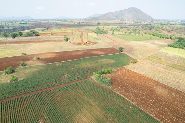 Aerial view from flying drone of Field rice with landscape green pattern nature background top view field rice