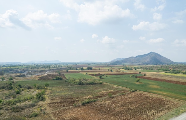 Aerial view from flying drone of Field rice with landscape green pattern nature background top view field rice