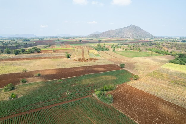 Aerial view from flying drone of Field rice with landscape green pattern nature background top view field rice