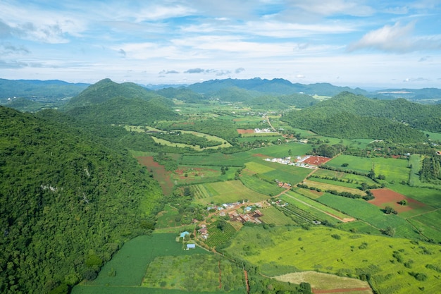 Aerial view from flying drone of Field rice with landscape green pattern nature background top view field rice