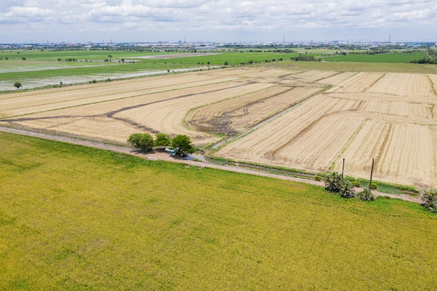 aerial view from flying drone of Field rice with landscape green pattern nature background, top view