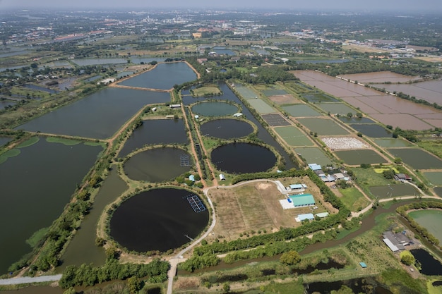 Aerial view from flying drone of Fish pond fish farm