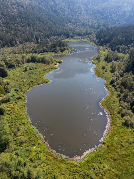 Aerial view of green canadian nature landscape lake around mountains