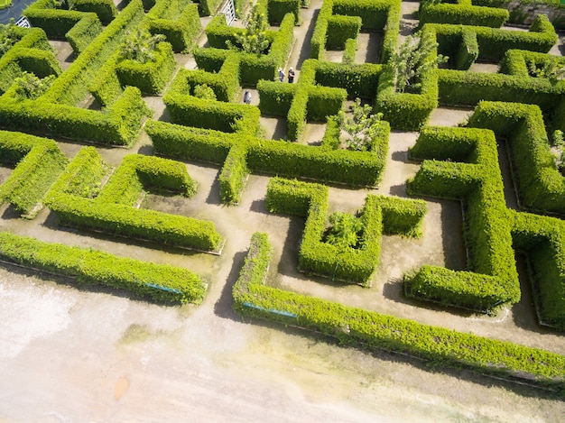 Aerial view of Green maze garden