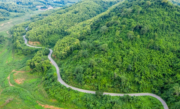 Aerial above view green mountain forest in the rain season and curved road on the hill connecting countryside