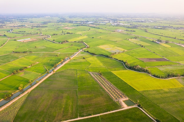 Aerial view of Green rice paddy field farming cultivation in agricultural land at countryside