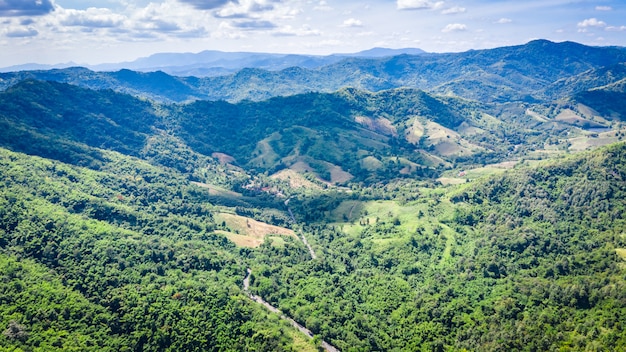 Aerial view green trees on the mountain in Thailand 