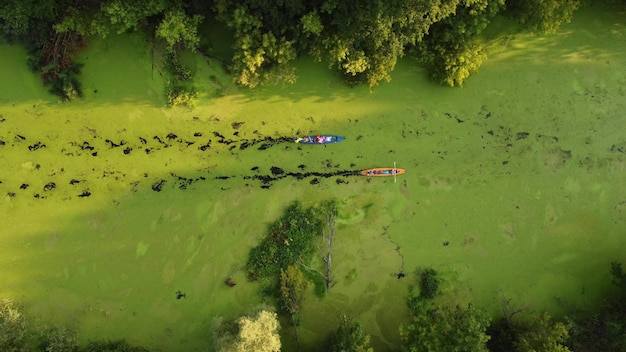 Aerial view of a group of kayaks traveling on a forest river on a summer day