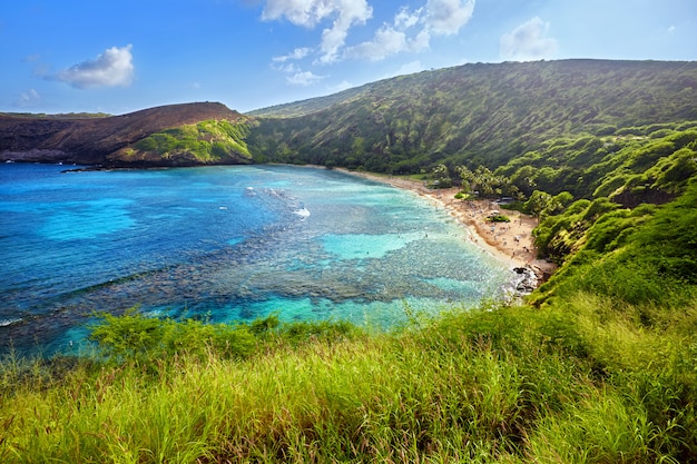 Aerial view of Hanauma Bay, Oahu, Hawaii