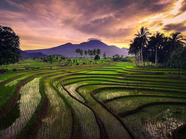 Aerial view of indonesian rural area with mountains and rice fields in the morning