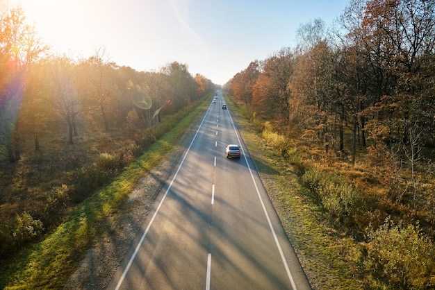 Aerial view of intercity road with fast driving cars between autumn forest trees at sunset. Top view from drone of highway traffic in evening.