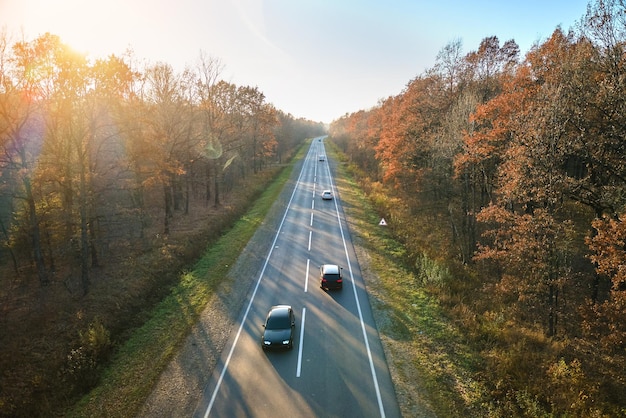 Aerial view of intercity road with fast driving cars between autumn forest trees at sunset Top view from drone of highway traffic in evening