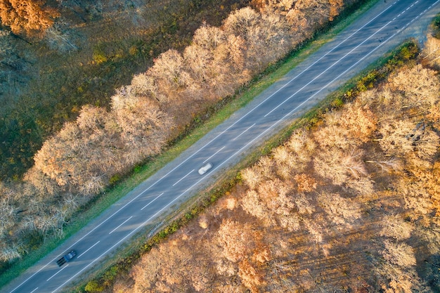 Aerial view of intercity road with fast driving cars between autumn forest trees at sunset Top view from drone of highway traffic in evening