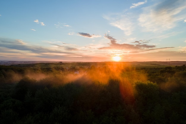 Aerial view of light fog covering dark forest trees at warm sunset