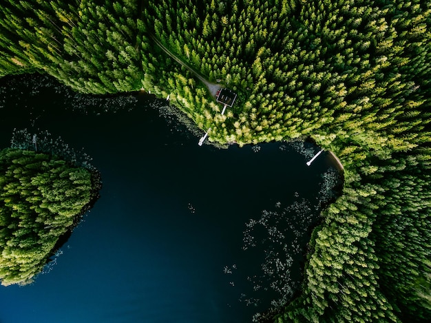 Aerial view of log cabin cottage in green summer woods by blue lake in Finland