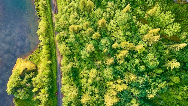 Photo aerial view of lush forest railway and reflective water in columbia gorge