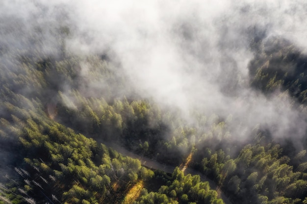 Aerial view of mountain forest in low clouds at sunrise Beautiful landscape of foggy forest